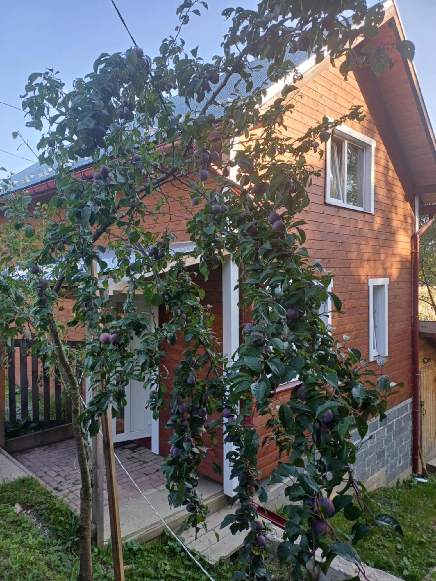 Карпатський котедж Karpatian cottage Ворохта Экстерьер фото